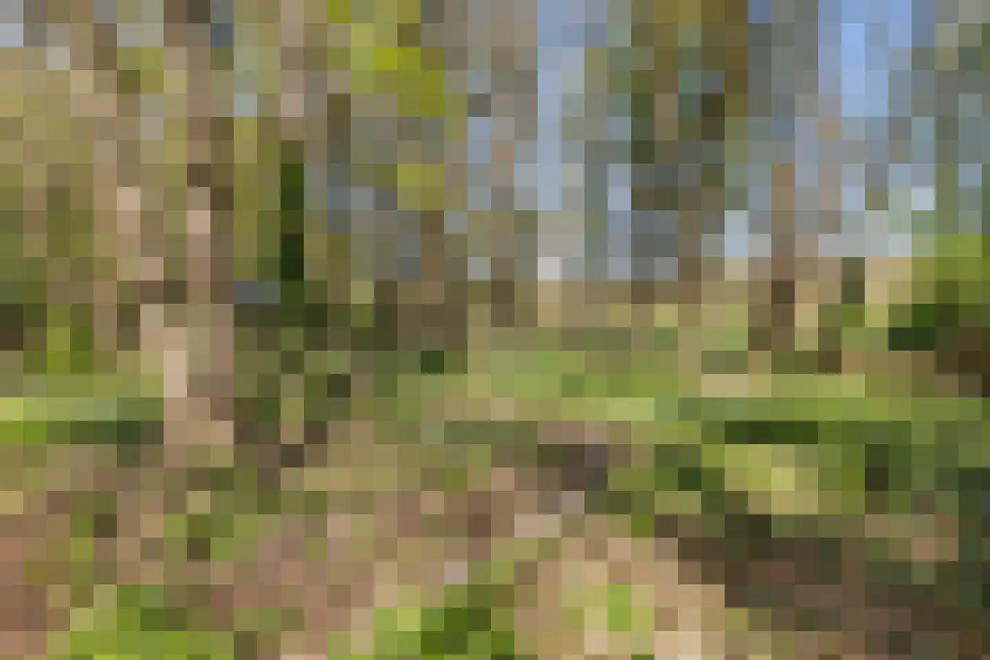 Zwiggelterweg 3 Hooghalen thumbnail 47
