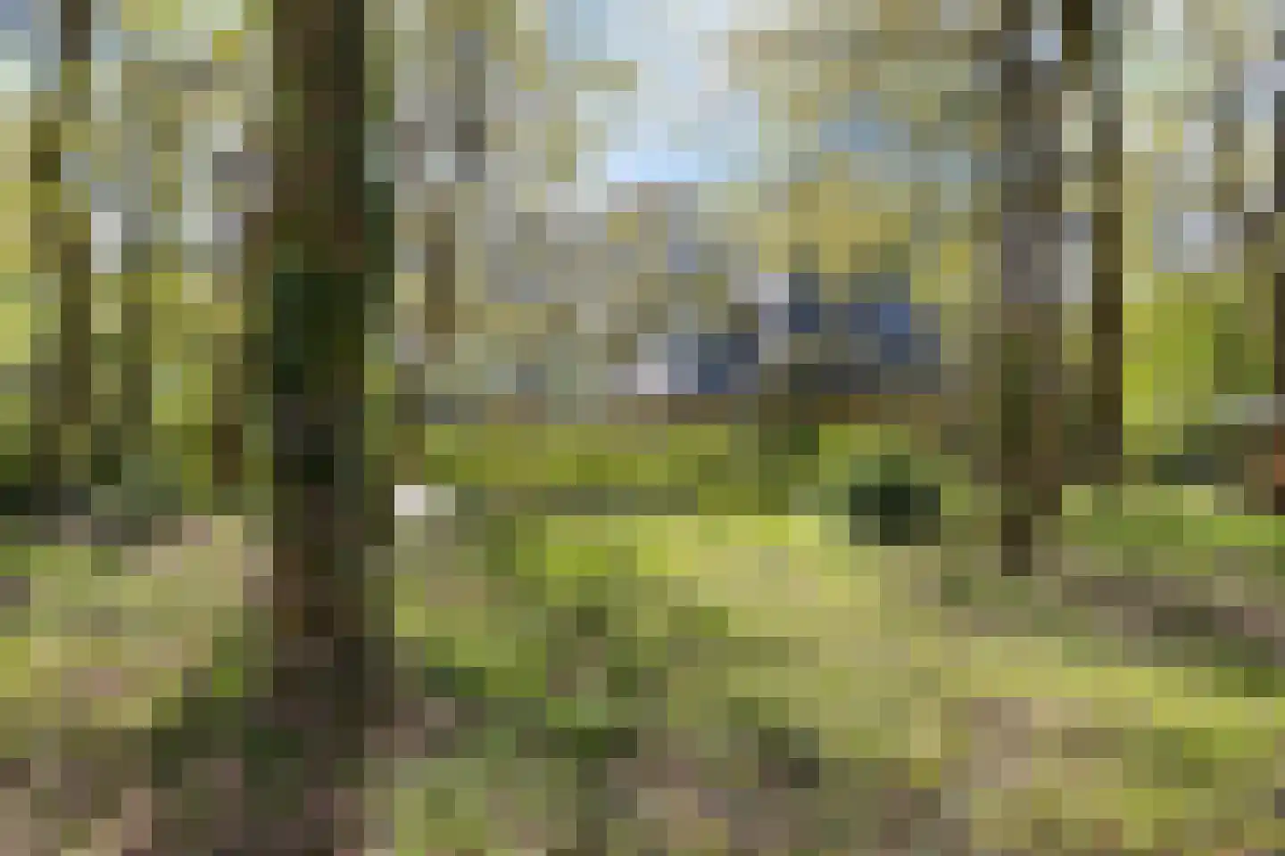 Zwiggelterweg 3 Hooghalen thumbnail 48