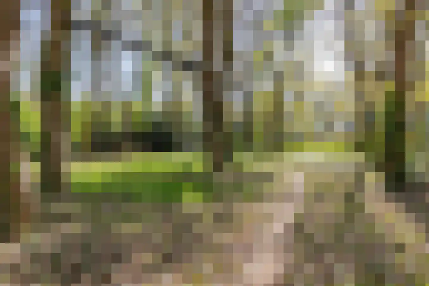 Zwiggelterweg 3 Hooghalen thumbnail 49