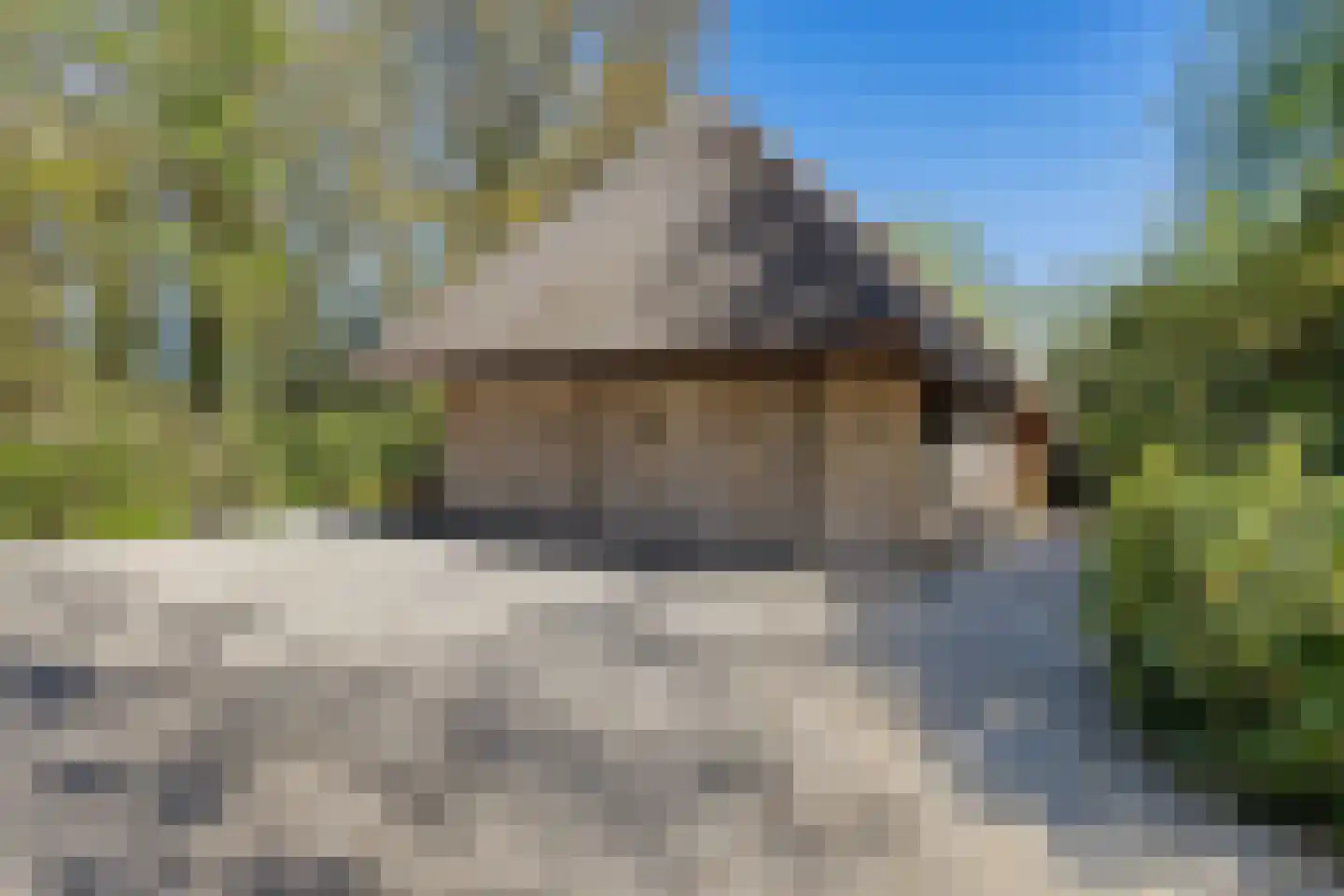 Zwiggelterweg 3 Hooghalen thumbnail 5