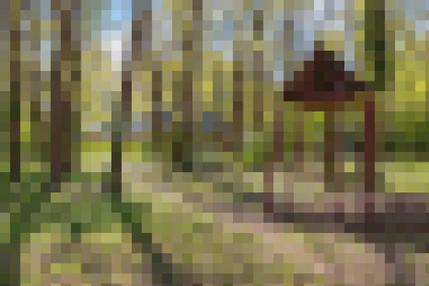 Zwiggelterweg 3 Hooghalen thumbnail 50
