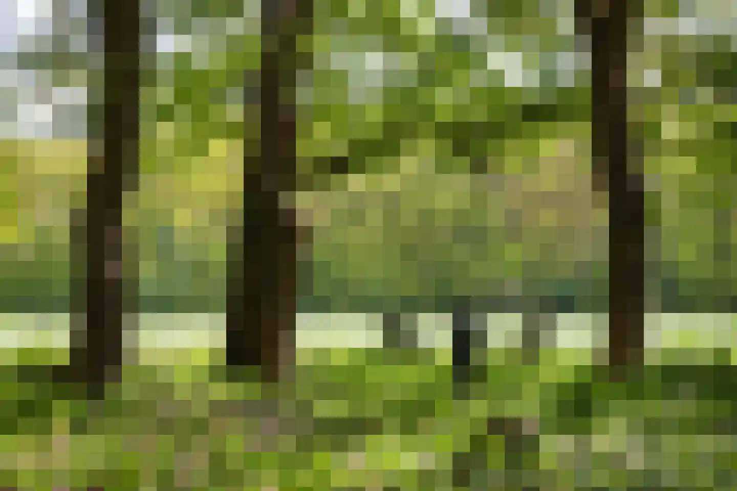 Zwiggelterweg 3 Hooghalen thumbnail 51