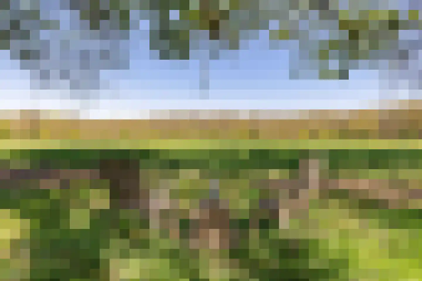 Zwiggelterweg 3 Hooghalen thumbnail 52