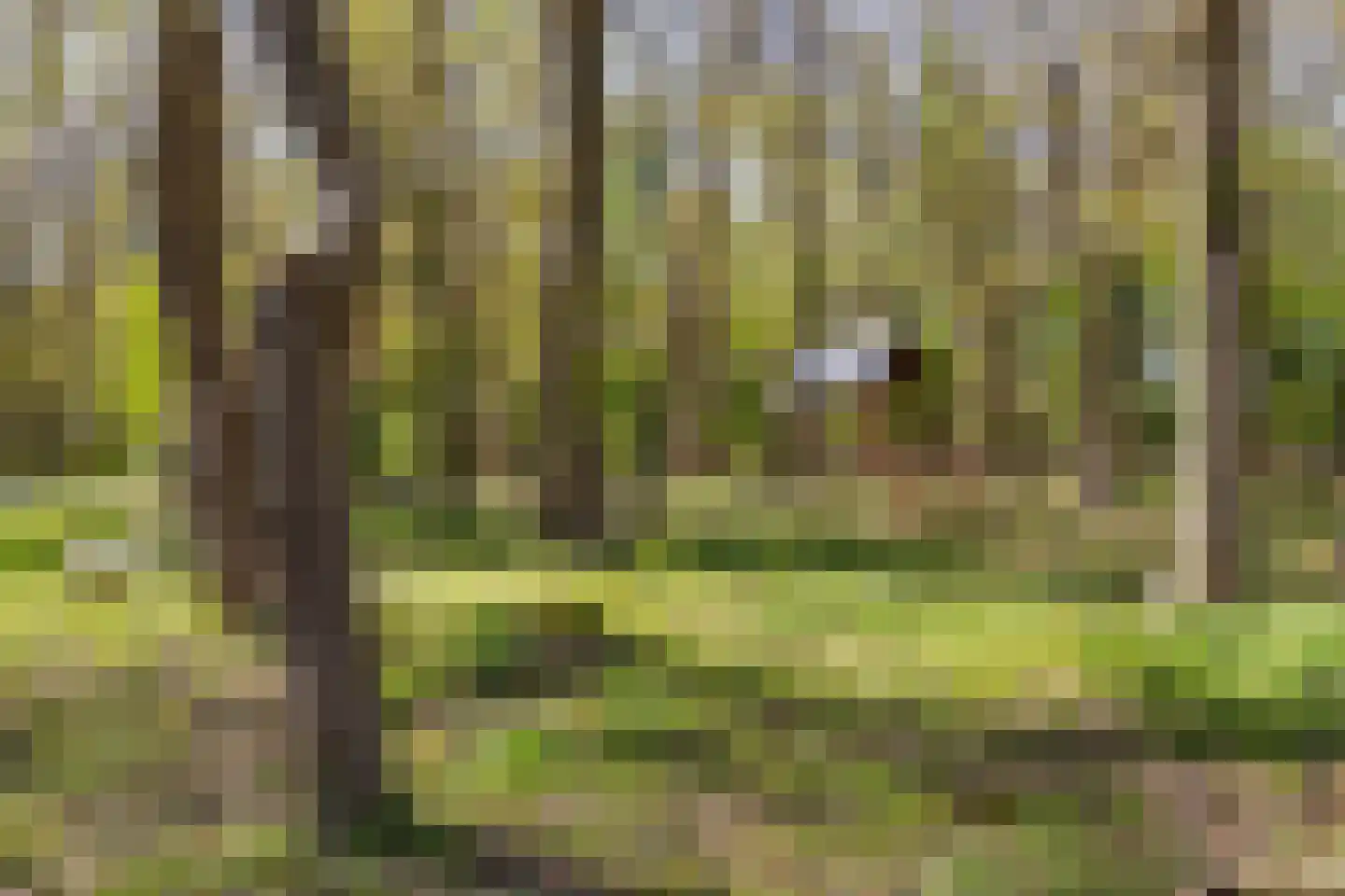 Zwiggelterweg 3 Hooghalen thumbnail 53