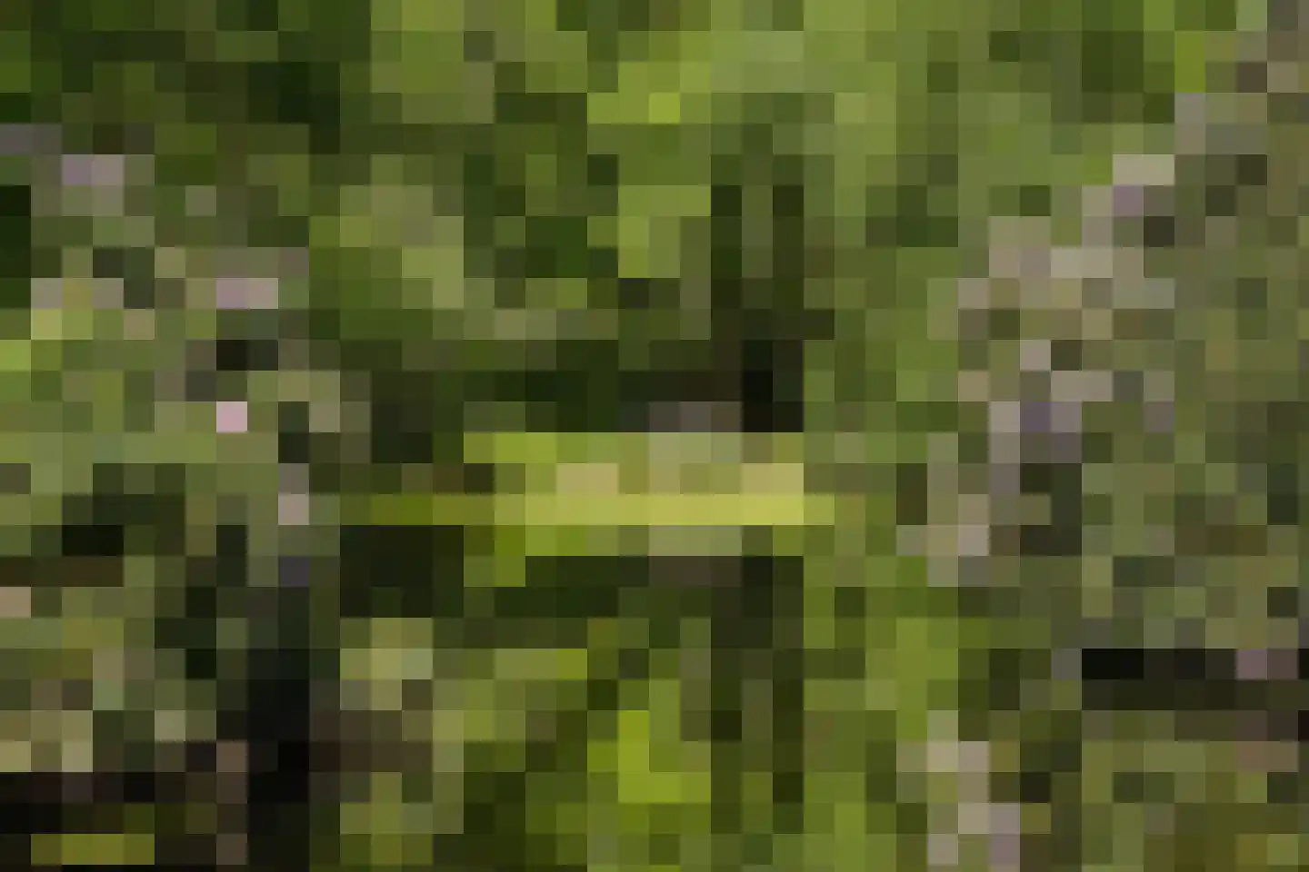 Zwiggelterweg 3 Hooghalen thumbnail 54