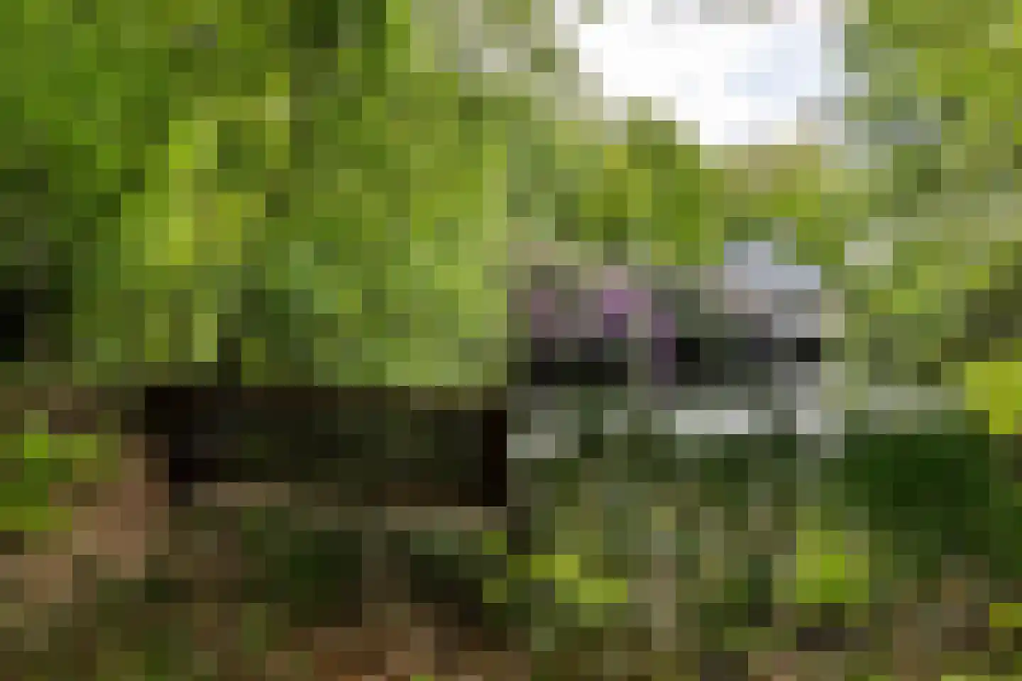Zwiggelterweg 3 Hooghalen thumbnail 55