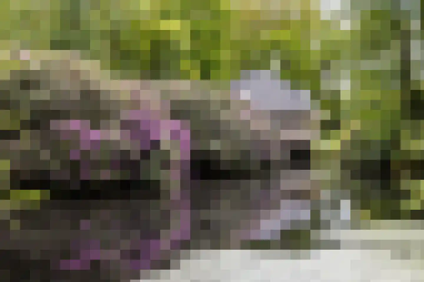Zwiggelterweg 3 Hooghalen thumbnail 56