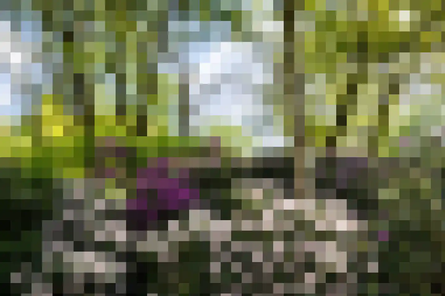 Zwiggelterweg 3 Hooghalen thumbnail 57