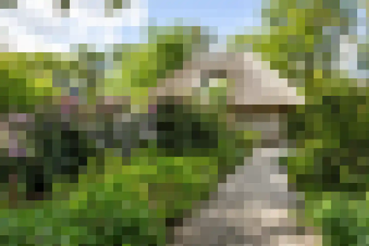 Zwiggelterweg 3 Hooghalen thumbnail 58