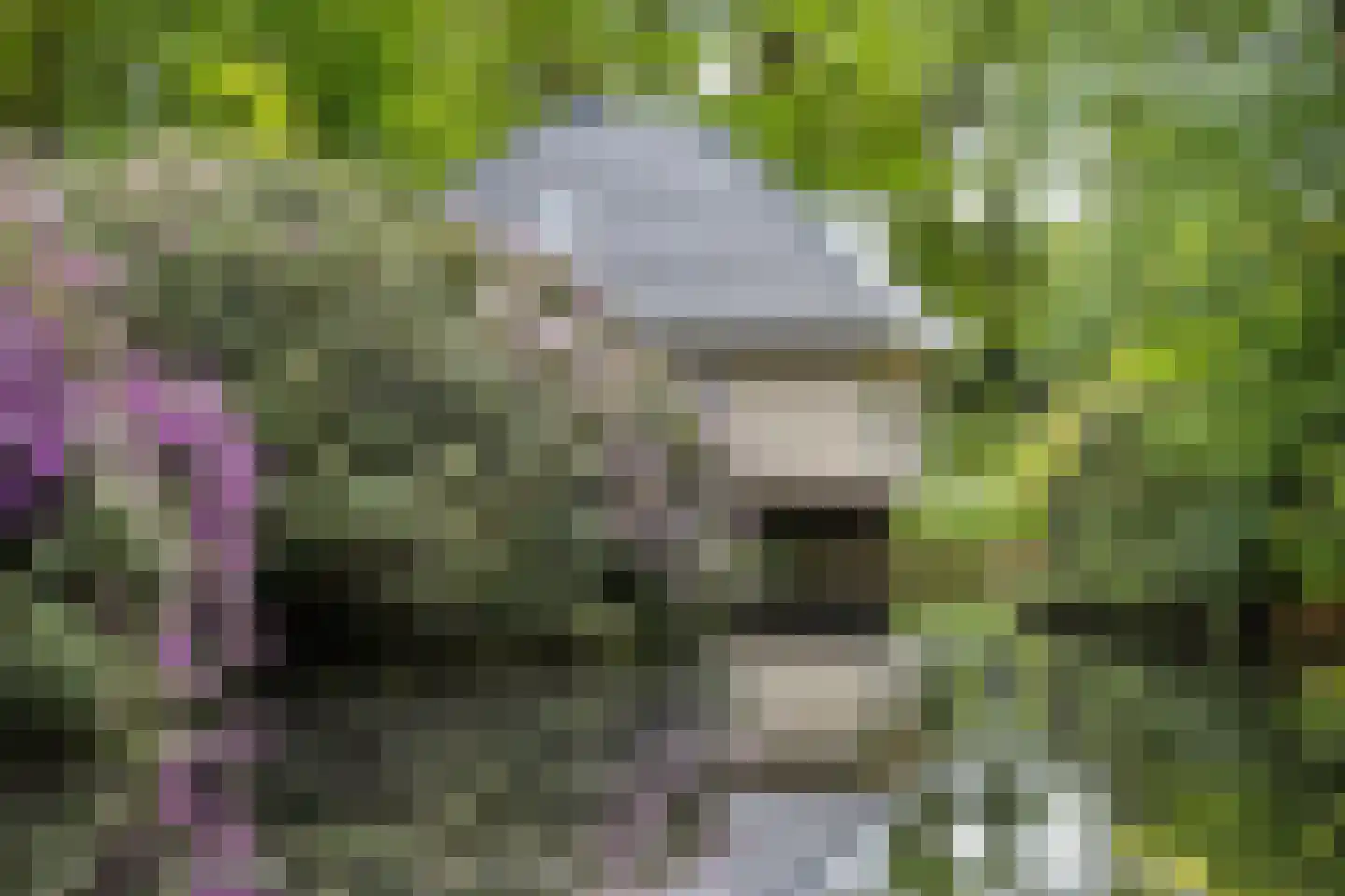 Zwiggelterweg 3 Hooghalen thumbnail 59