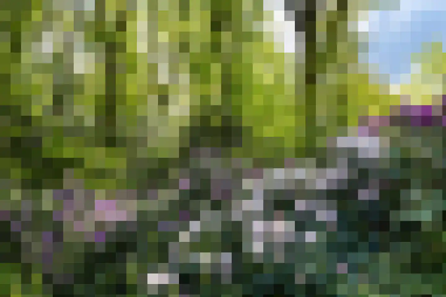 Zwiggelterweg 3 Hooghalen thumbnail 60