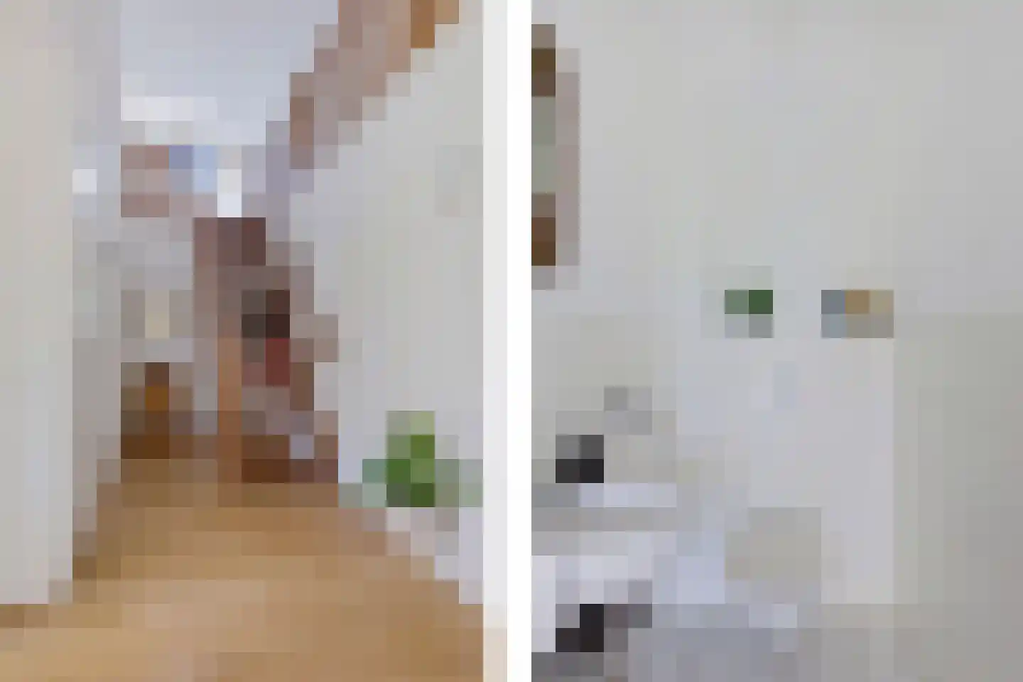 Zwiggelterweg 3 Hooghalen thumbnail 7