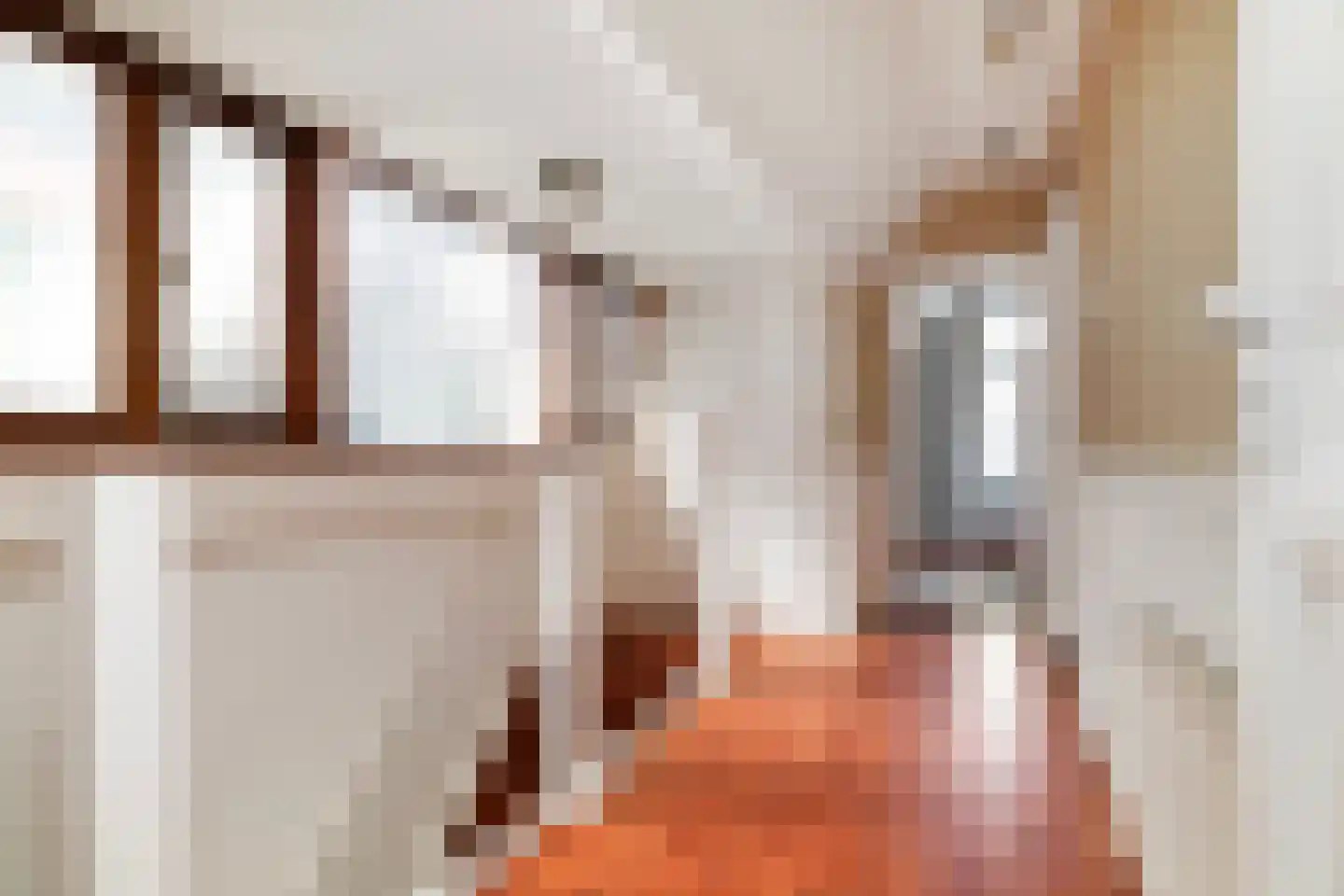 Zwijndrechtsestraat 12 Rotterdam thumbnail 12