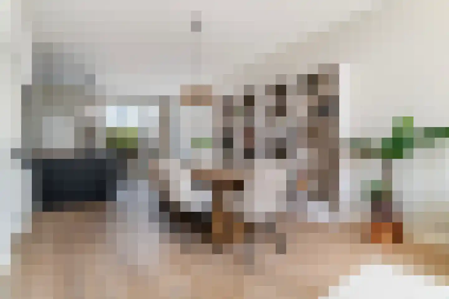 Zwijndrechtsestraat 12 Rotterdam thumbnail 5