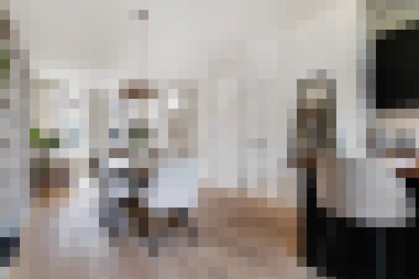 Zwijndrechtsestraat 12 Rotterdam thumbnail 7