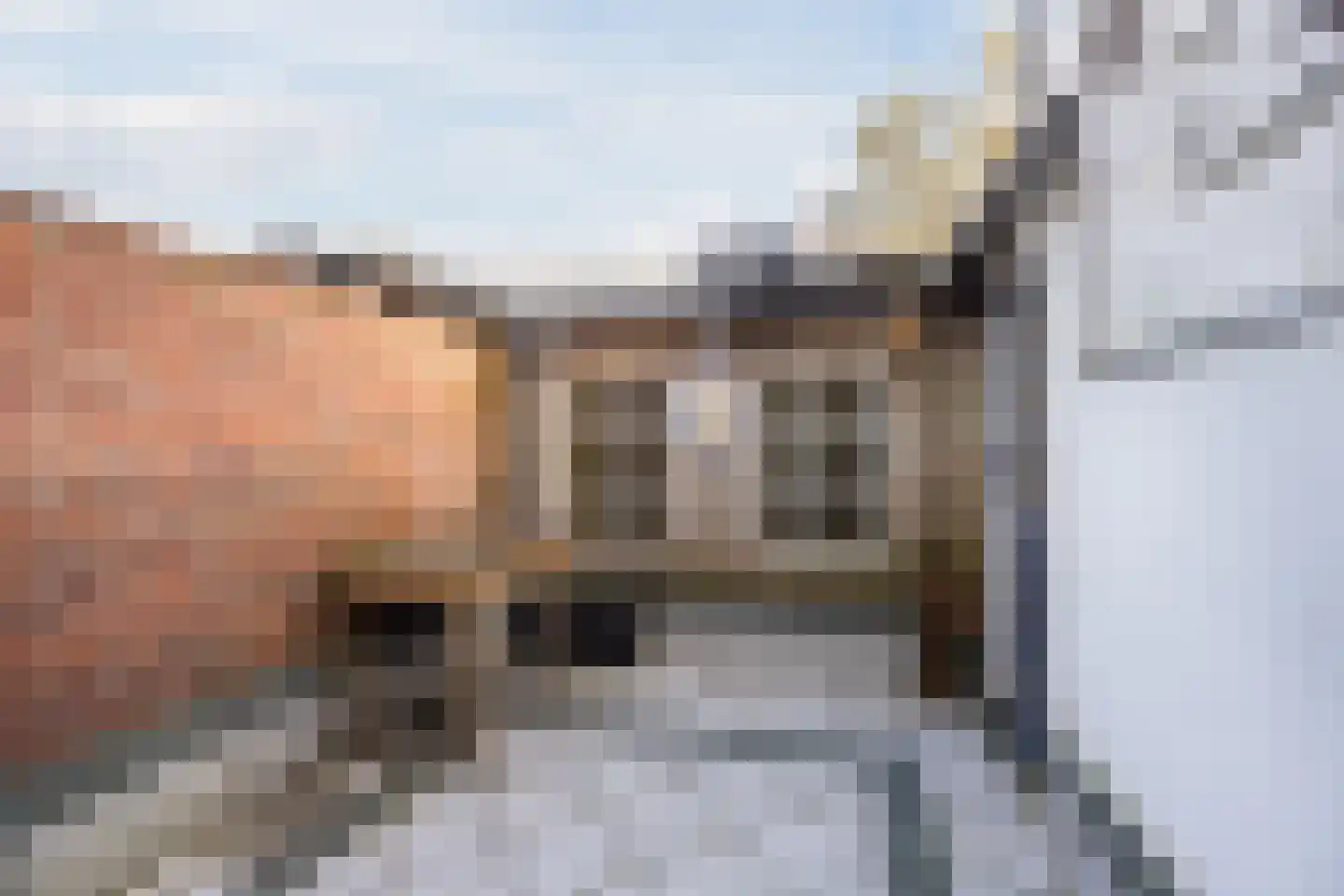 Zwijndrechtsestraat 18 Rotterdam thumbnail 25