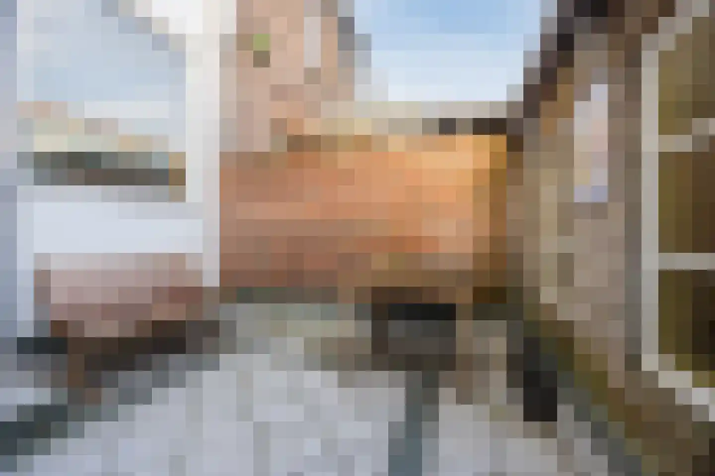 Zwijndrechtsestraat 18 Rotterdam thumbnail 26