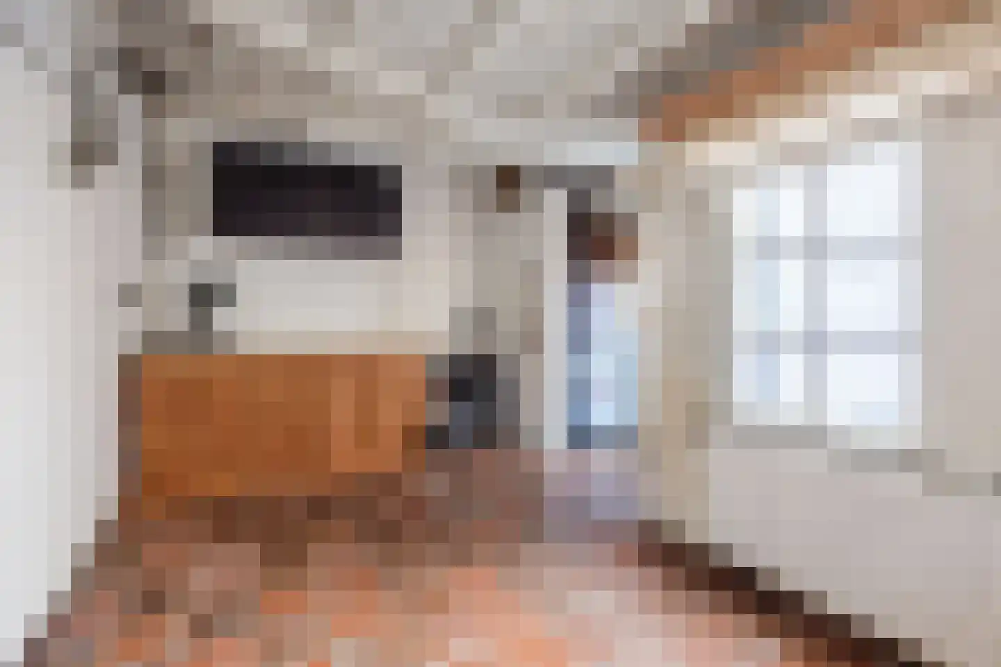 Zwijndrechtsestraat 18 Rotterdam thumbnail 28