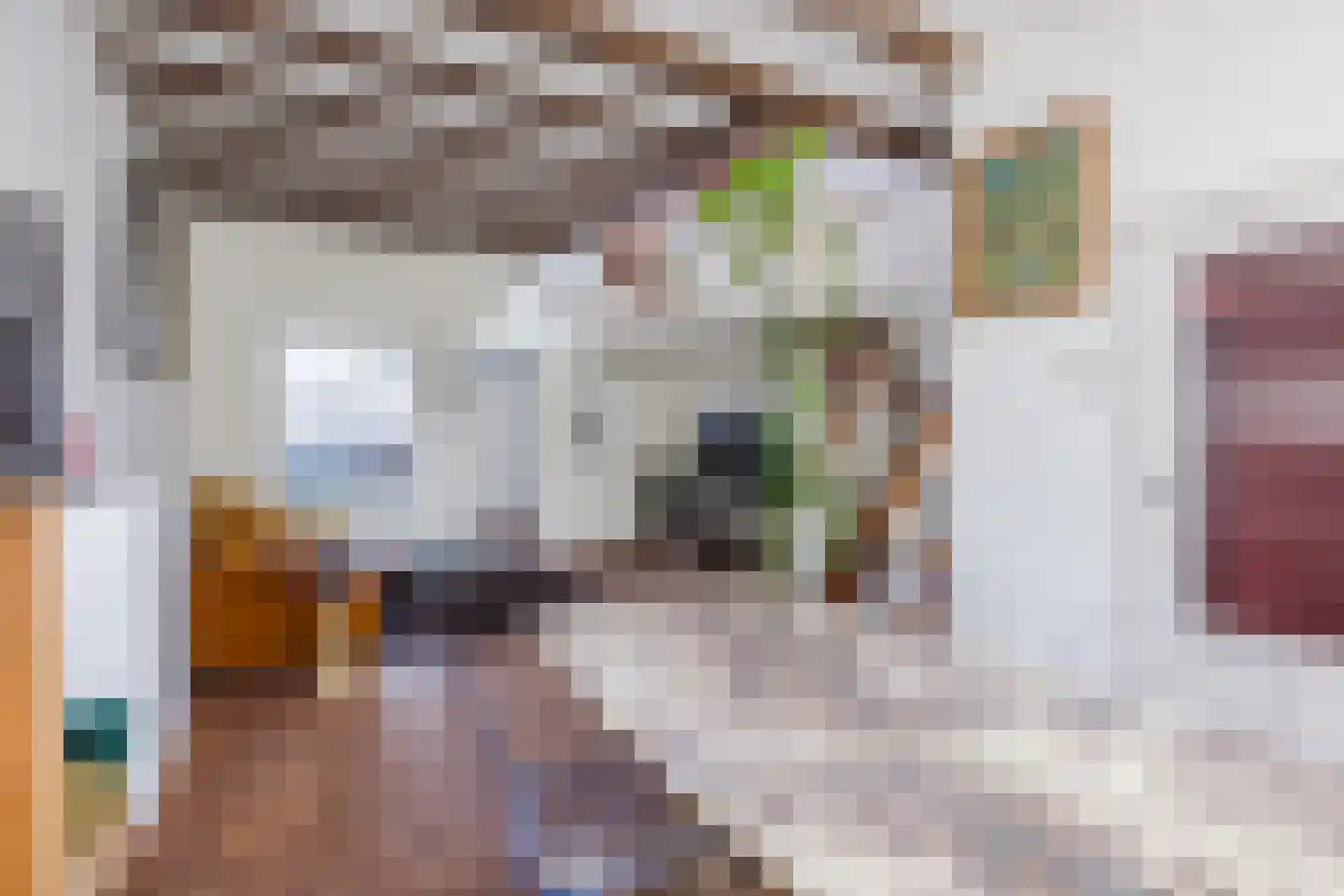 Zwijndrechtsestraat 18 Rotterdam thumbnail 4