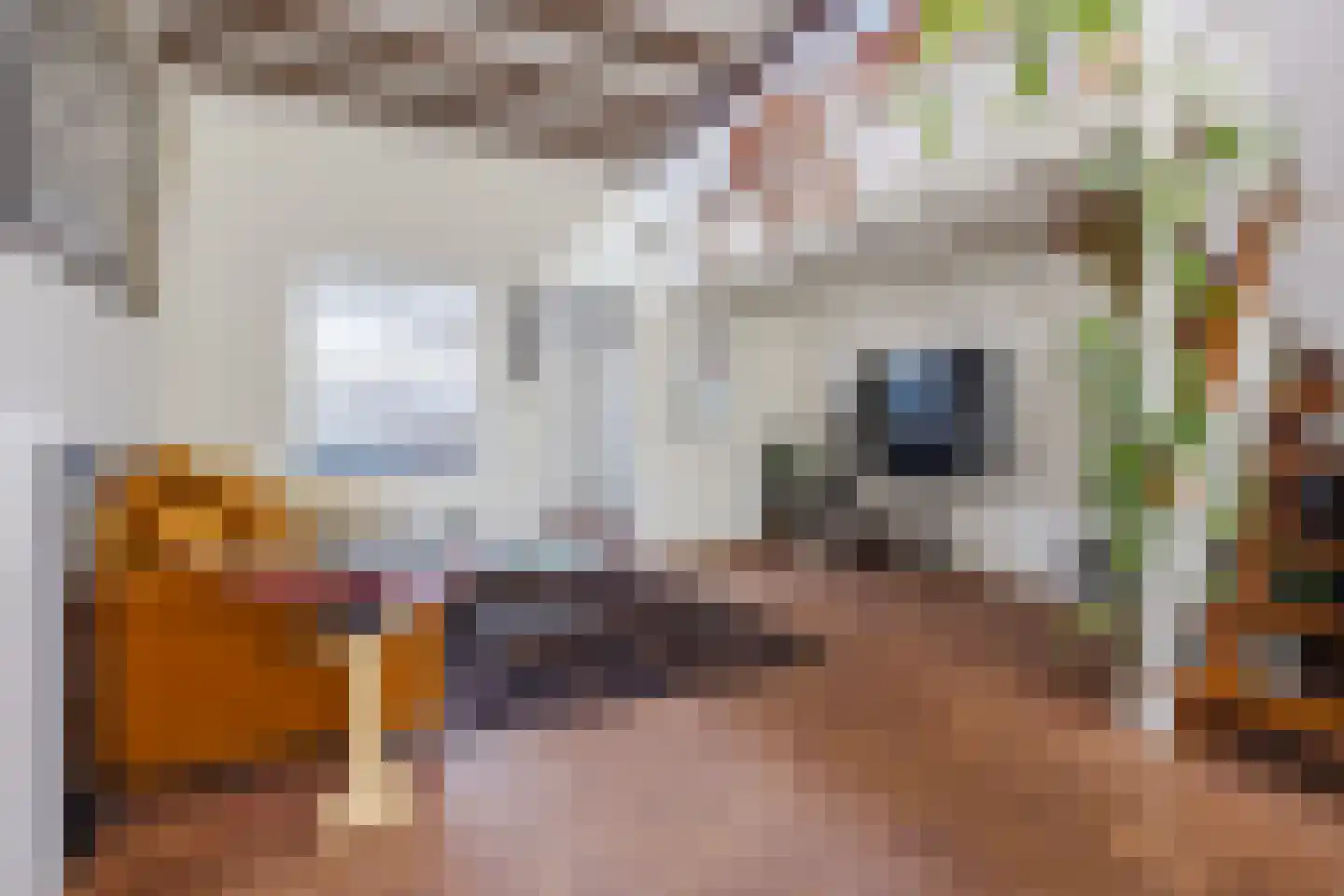 Zwijndrechtsestraat 18 Rotterdam thumbnail 5
