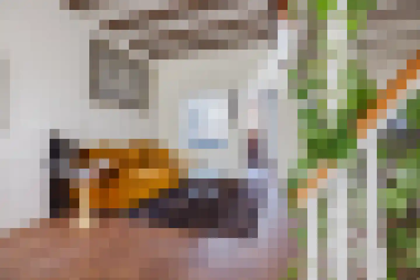 Zwijndrechtsestraat 18 Rotterdam thumbnail 5