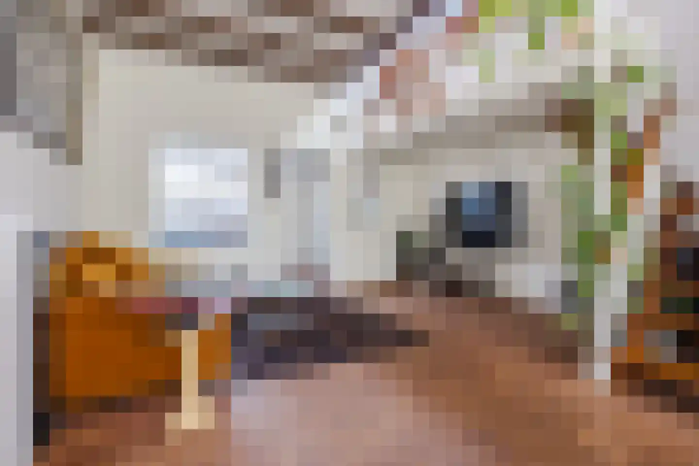Zwijndrechtsestraat 18 Rotterdam thumbnail 5