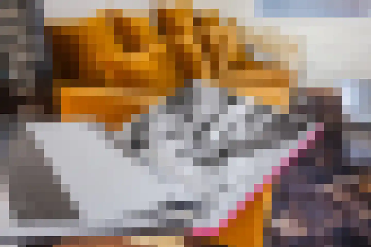Zwijndrechtsestraat 18 Rotterdam thumbnail 8