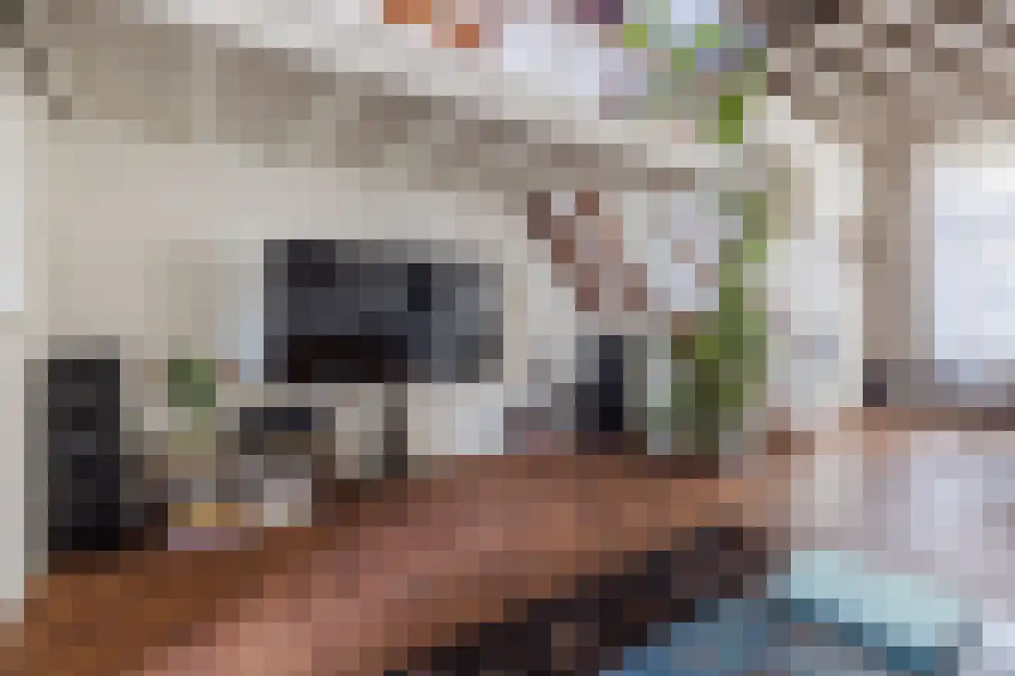 Zwijndrechtsestraat 18 Rotterdam thumbnail 9