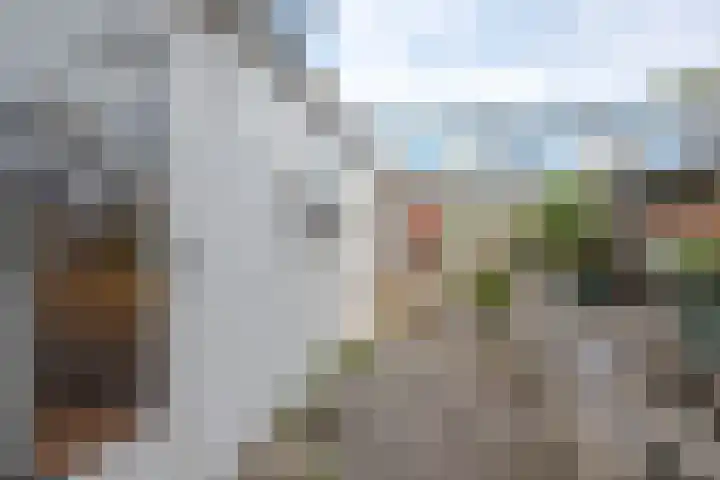 Zwijndrechtsestraat 32 Rotterdam thumbnail 5