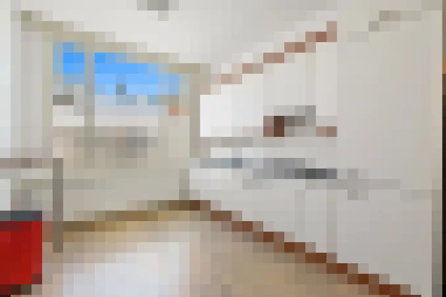 Zwijndrechtsestraat 35 Rotterdam thumbnail 10