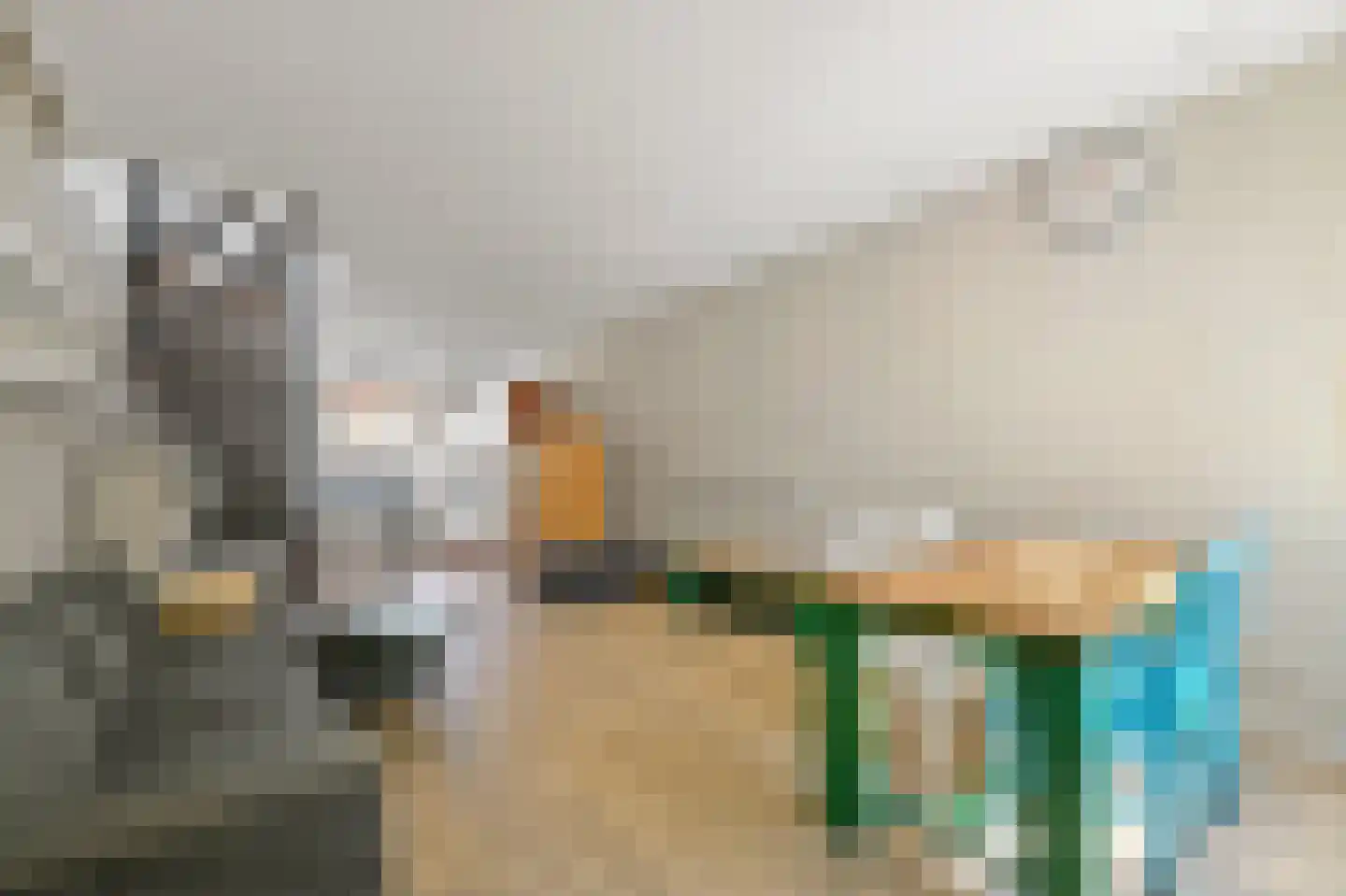 Zwijndrechtsestraat 35 Rotterdam thumbnail 8