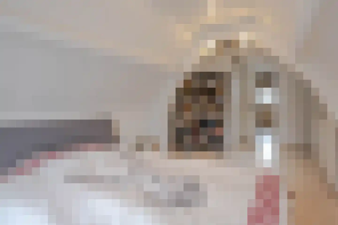 Zwijndrechtsestraat 38 Rotterdam thumbnail 18