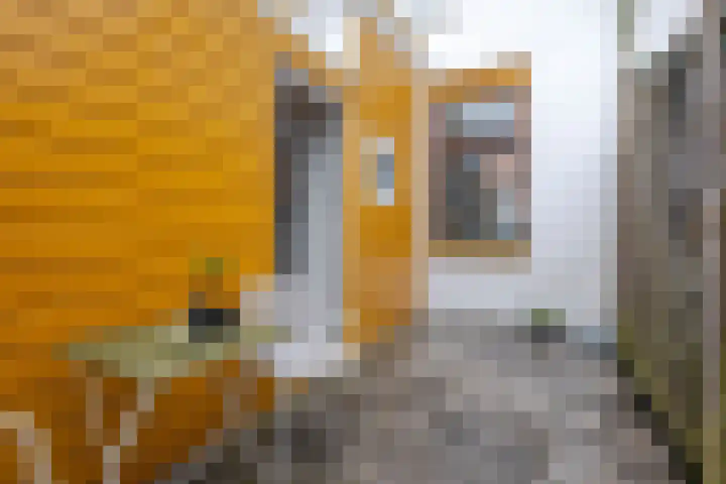 Zwijndrechtsestraat 38 Rotterdam thumbnail 4