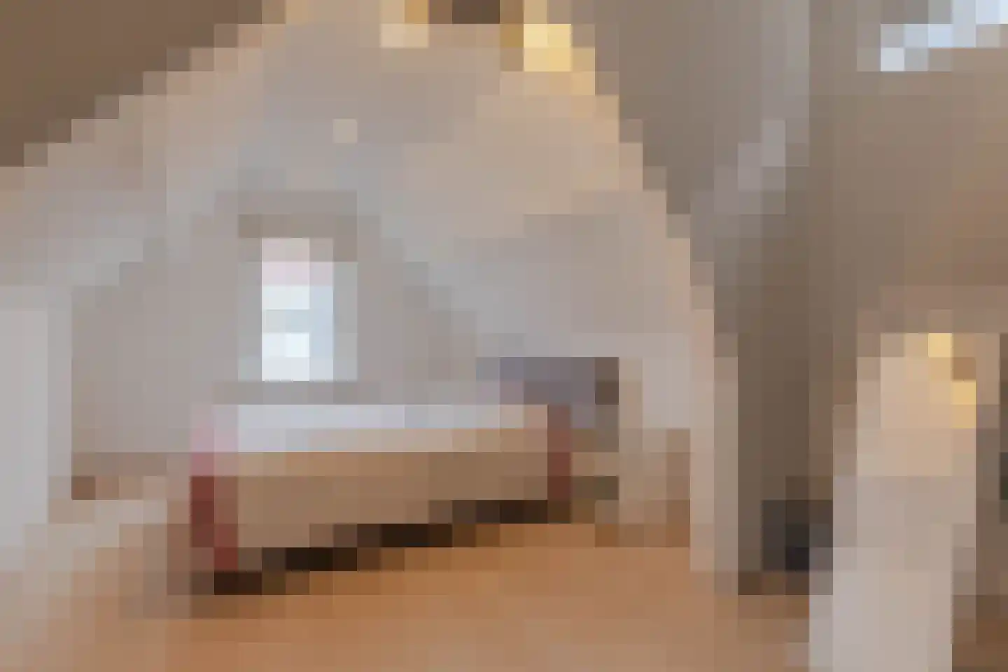 Zwijndrechtsestraat 38 Rotterdam thumbnail 5