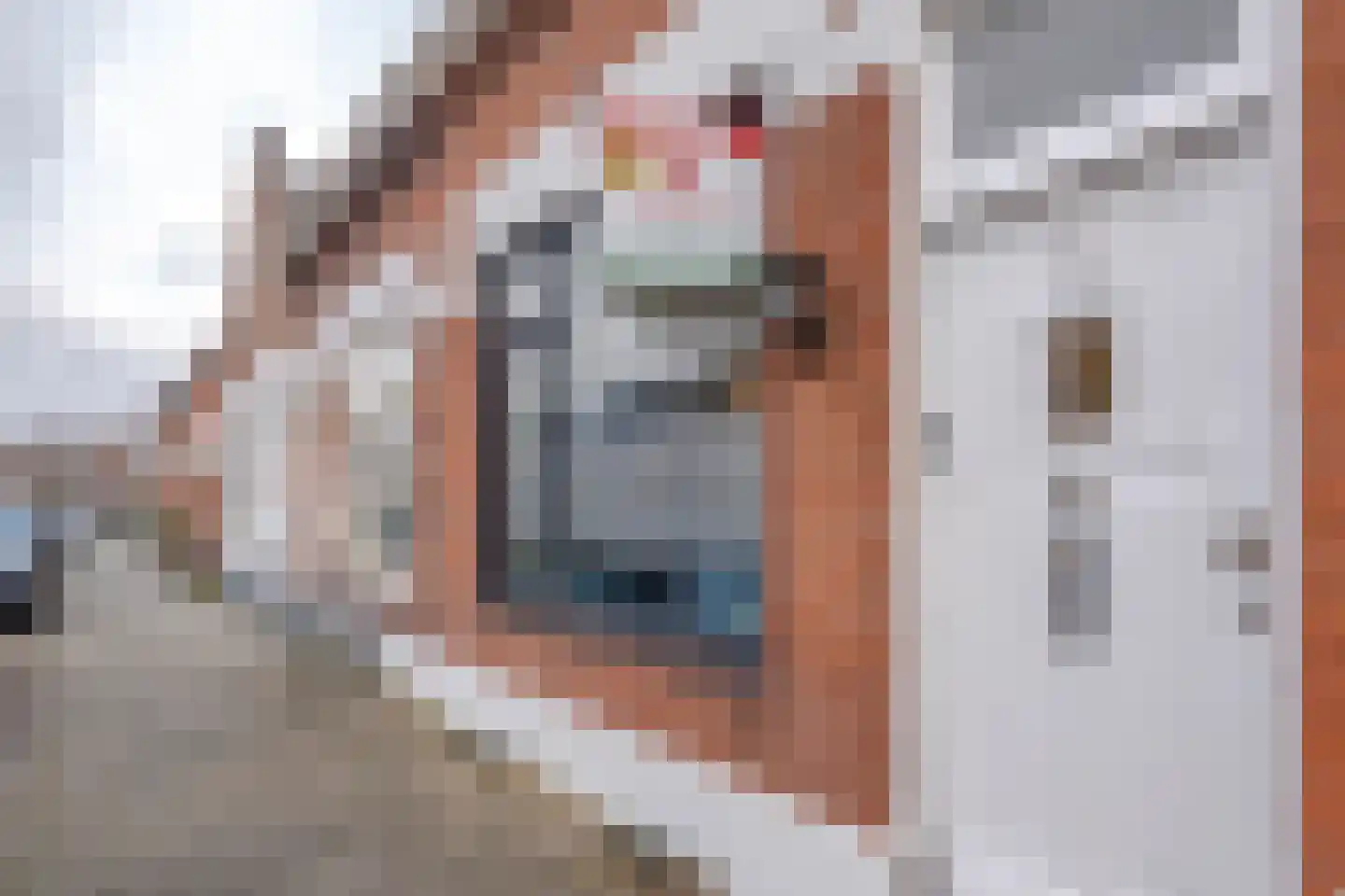Zwijndrechtsestraat 38 Rotterdam thumbnail 7