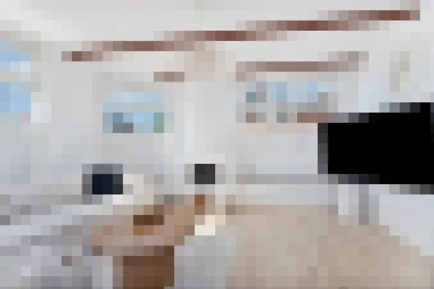 Zwijndrechtsestraat 42 Rotterdam thumbnail 5