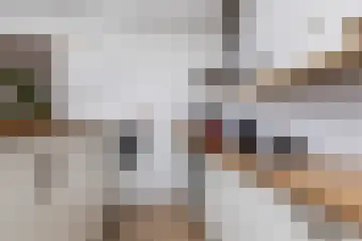 Zwijnenbergstraat 6 Hattem thumbnail 7