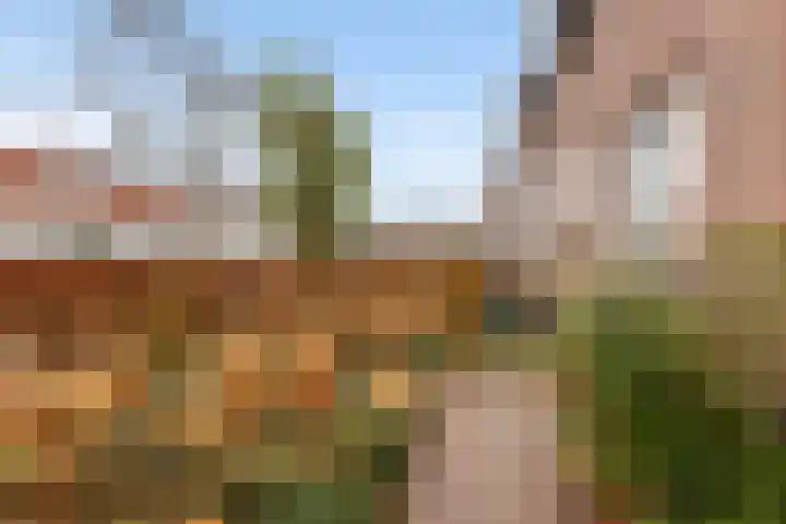 Zwijnenbergstraat 7 Hattem thumbnail 6