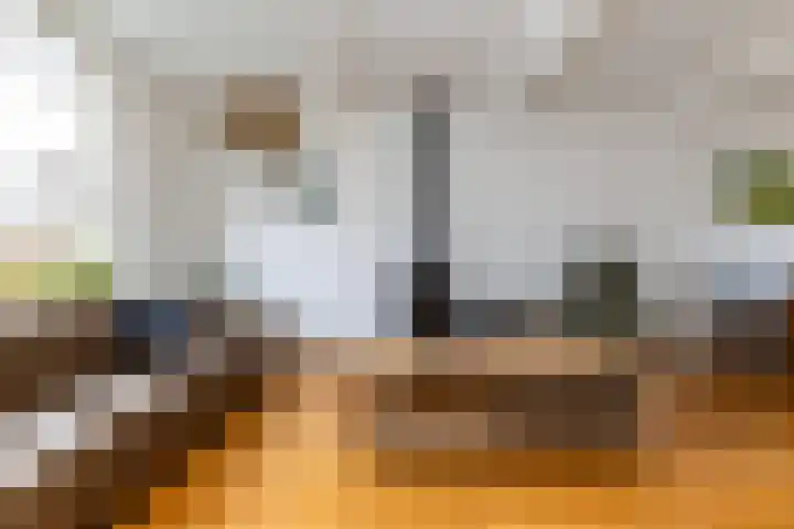 Zwijnenbergstraat 7 Hattem thumbnail 8