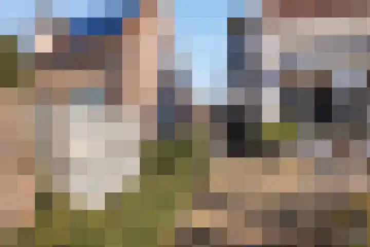Zwijnenbergstraat 8 2 Hattem thumbnail 4