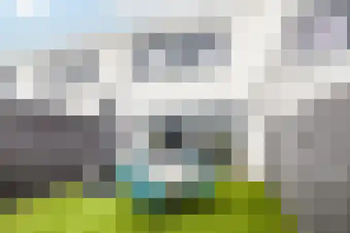 Zwijnenburg 7 Barendrecht thumbnail 18