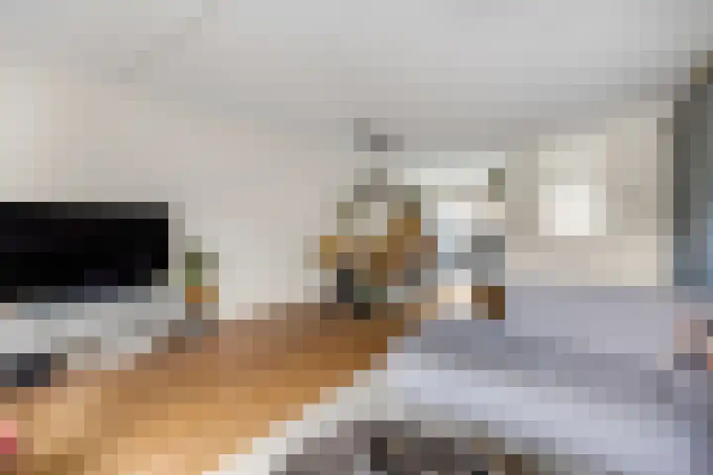Zwijning 10 Ochten thumbnail 17