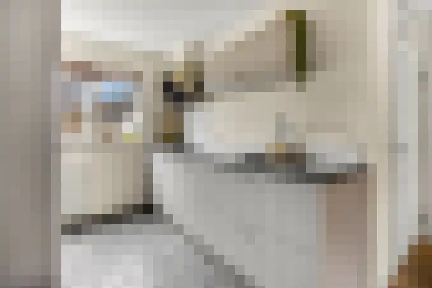 Zwijning 10 Ochten thumbnail 20