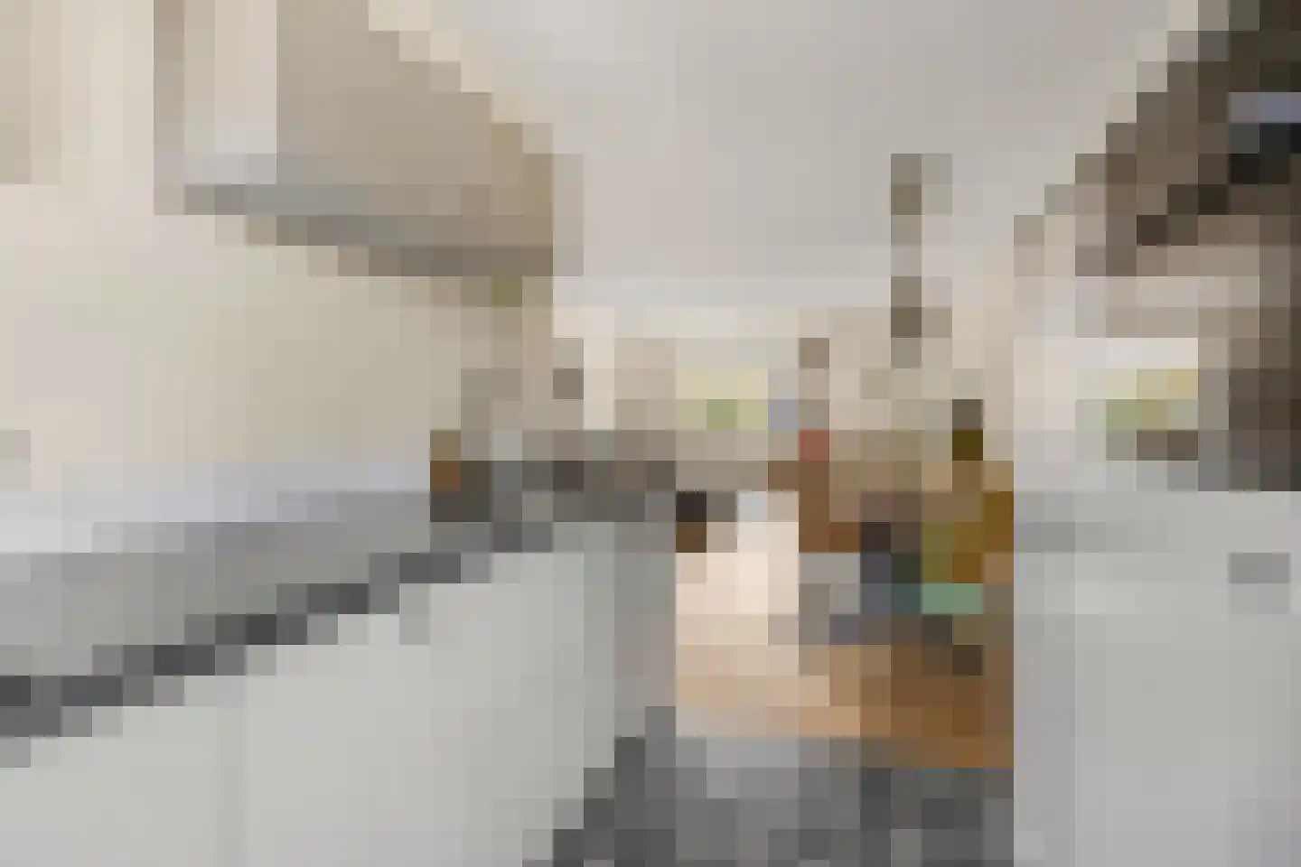 Zwijning 10 Ochten thumbnail 22
