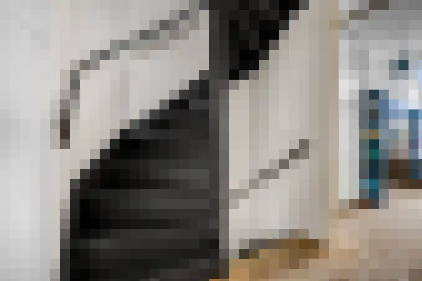 Zwijning 10 Ochten thumbnail 28