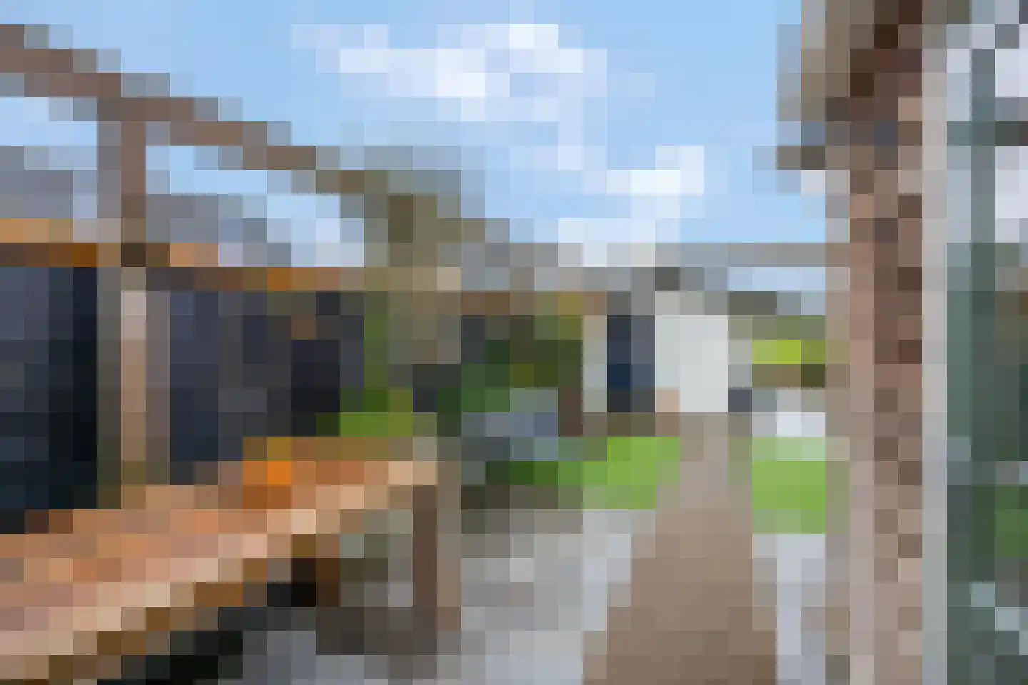 Zwijning 10 Ochten foto 3