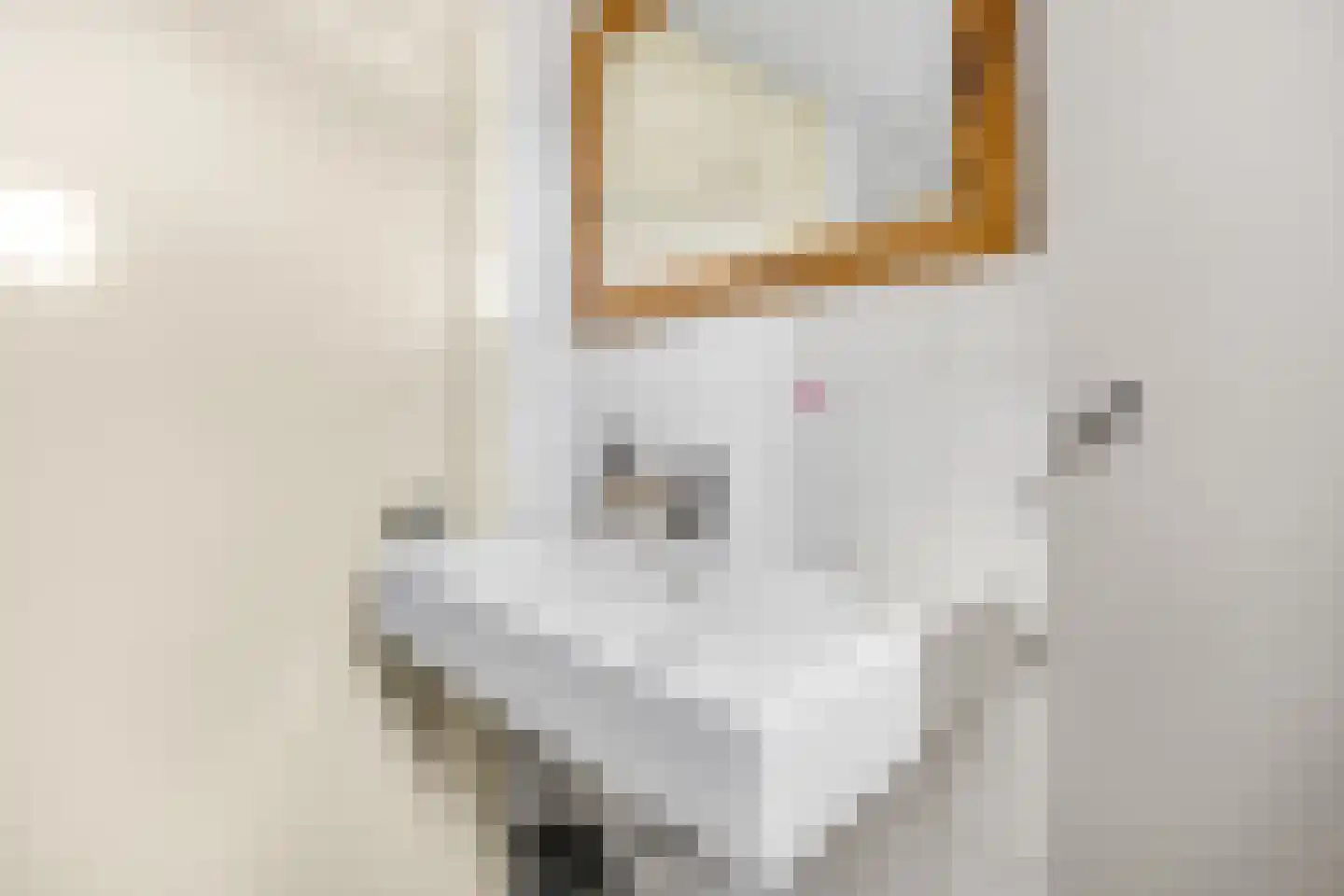 Zwijning 10 Ochten thumbnail 30