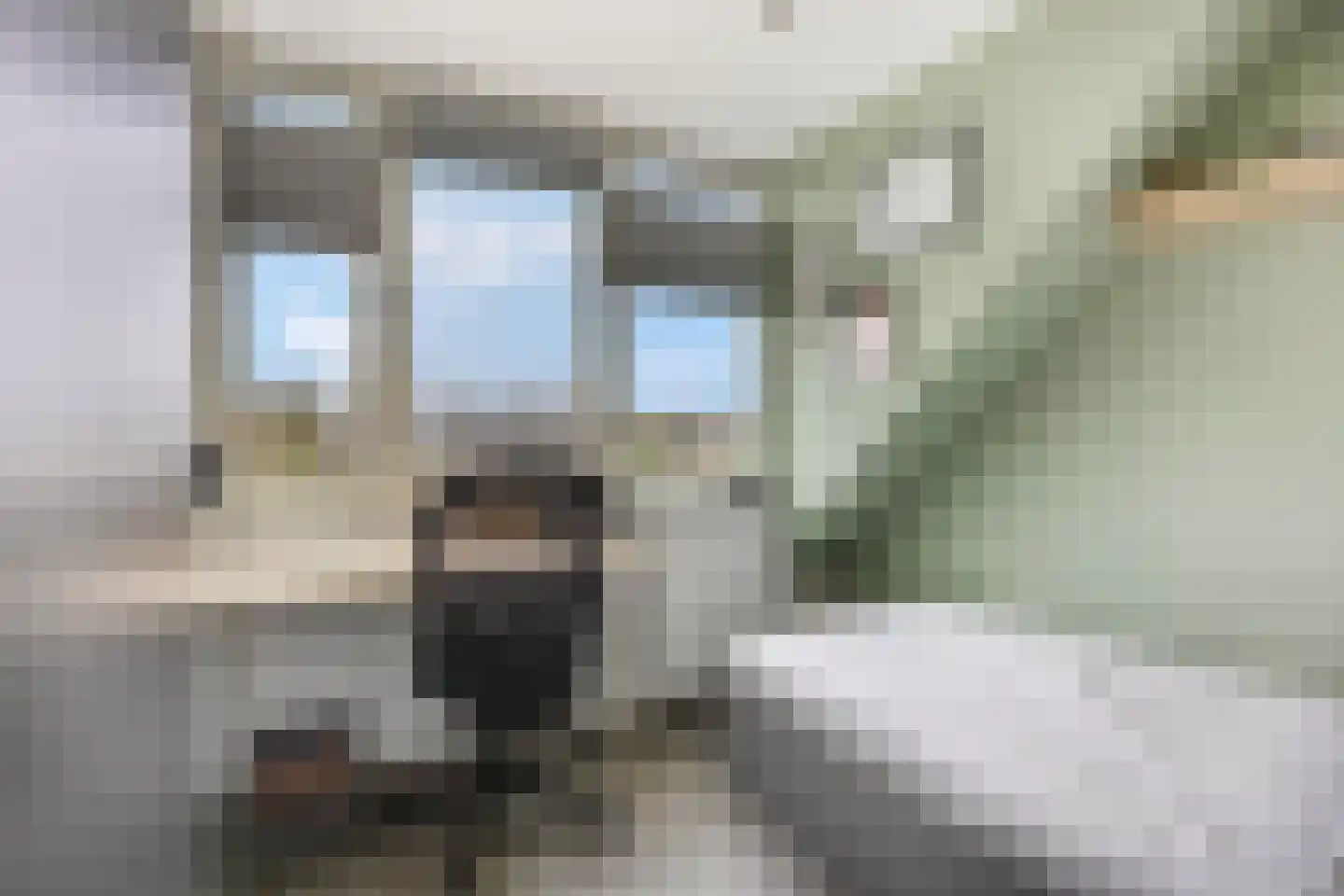 Zwijning 10 Ochten thumbnail 46