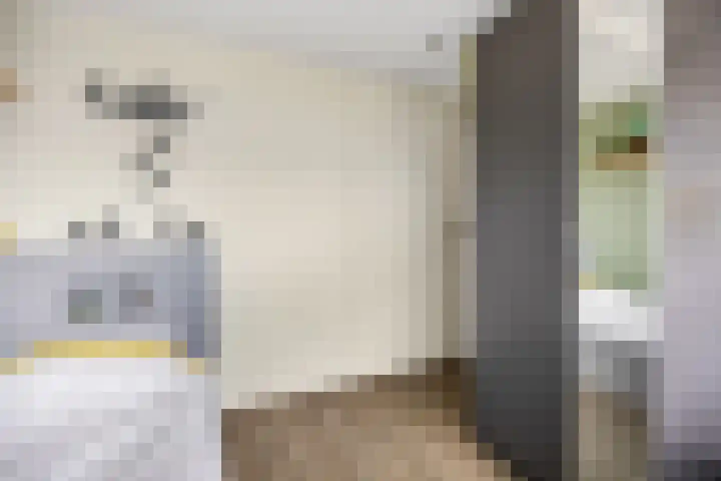 Zwijning 10 Ochten thumbnail 47