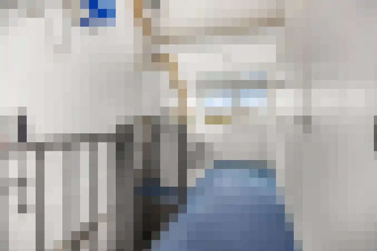 Zwijning 10 Ochten thumbnail 50